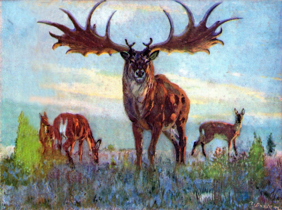 cerf mégaceros