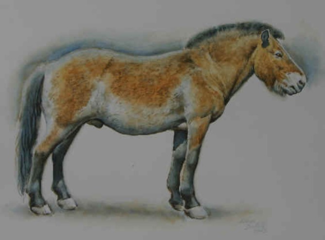cheval